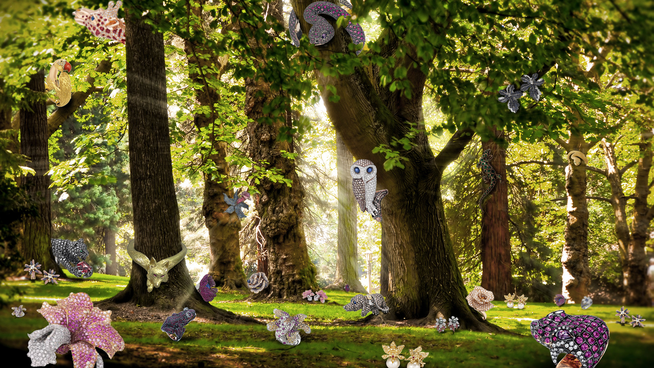 Banner Image 5